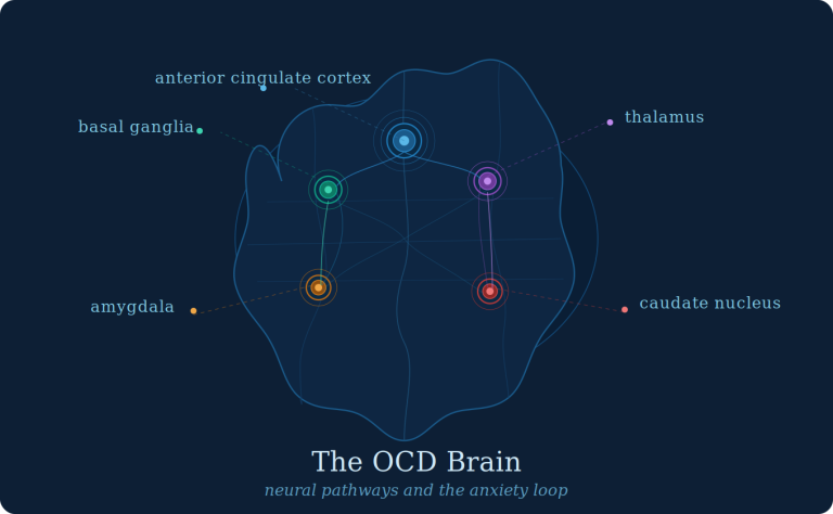 Why OCD Feels Impossible to Stop: What’s Actually Happening in Your Brain